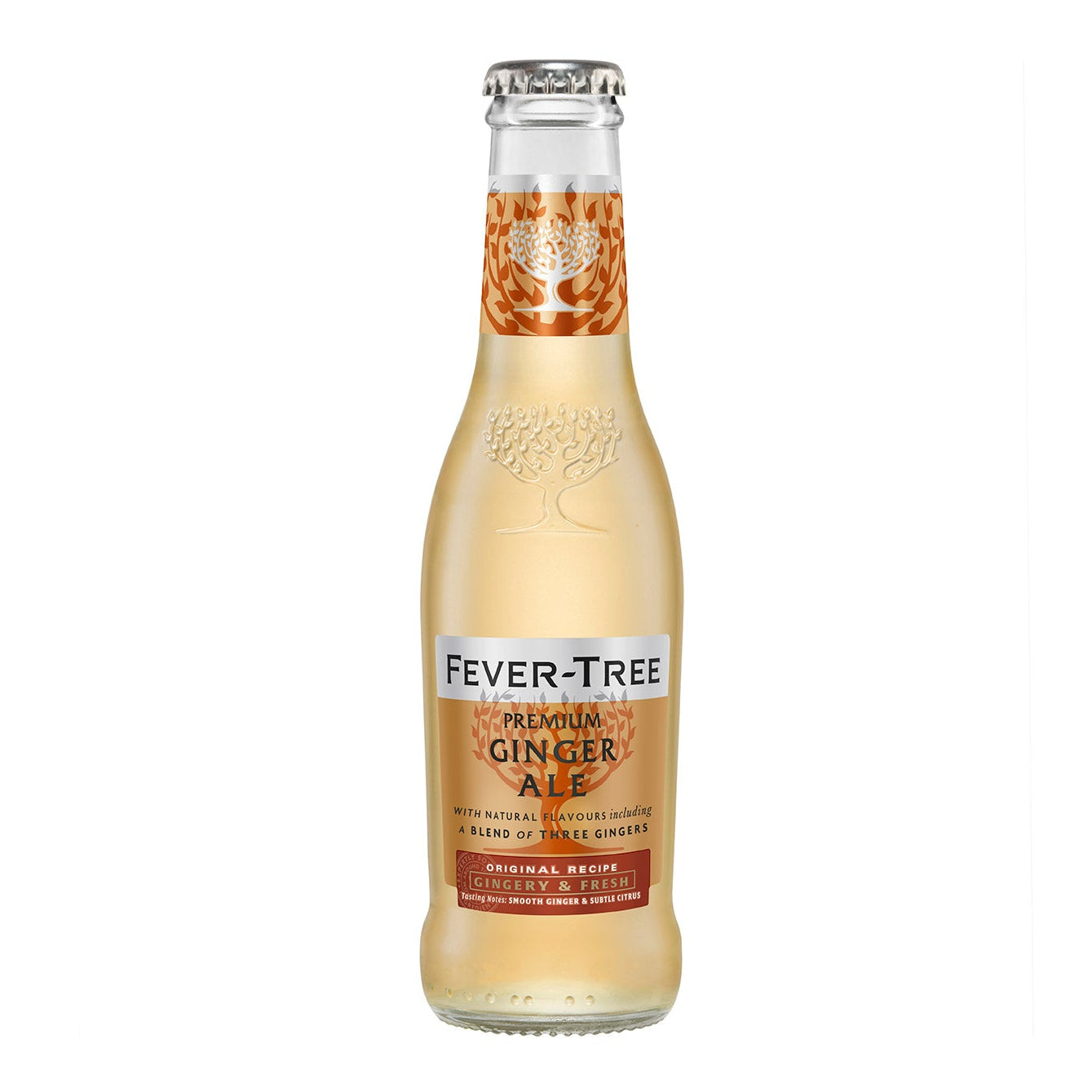 Britvic Ginger Ale 24 x 200ml Nrb