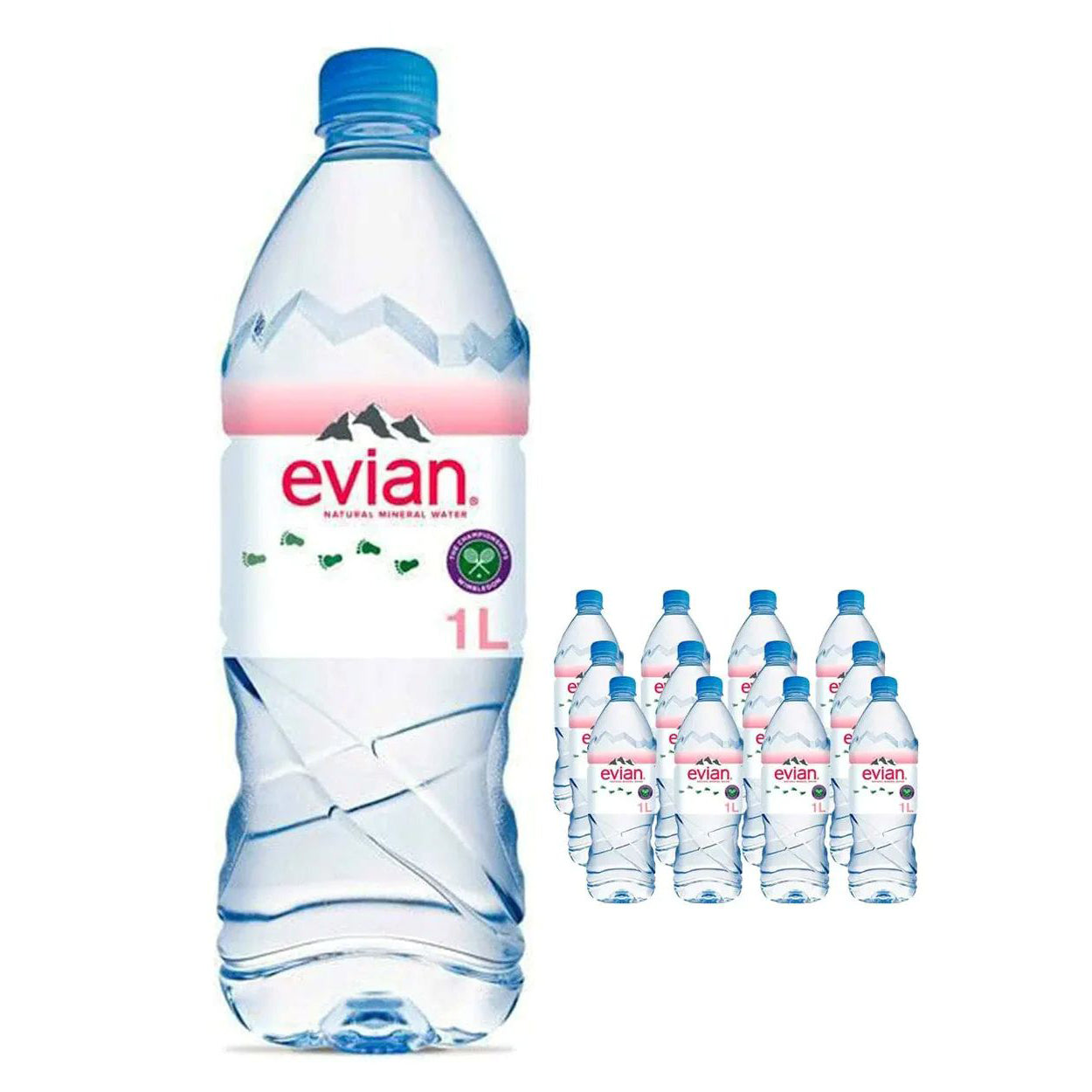 Evian 12 x 1ltr pet