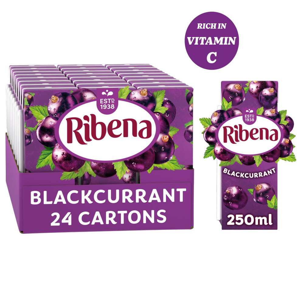 Ribena Blackcurrant 24x 250ml Carton