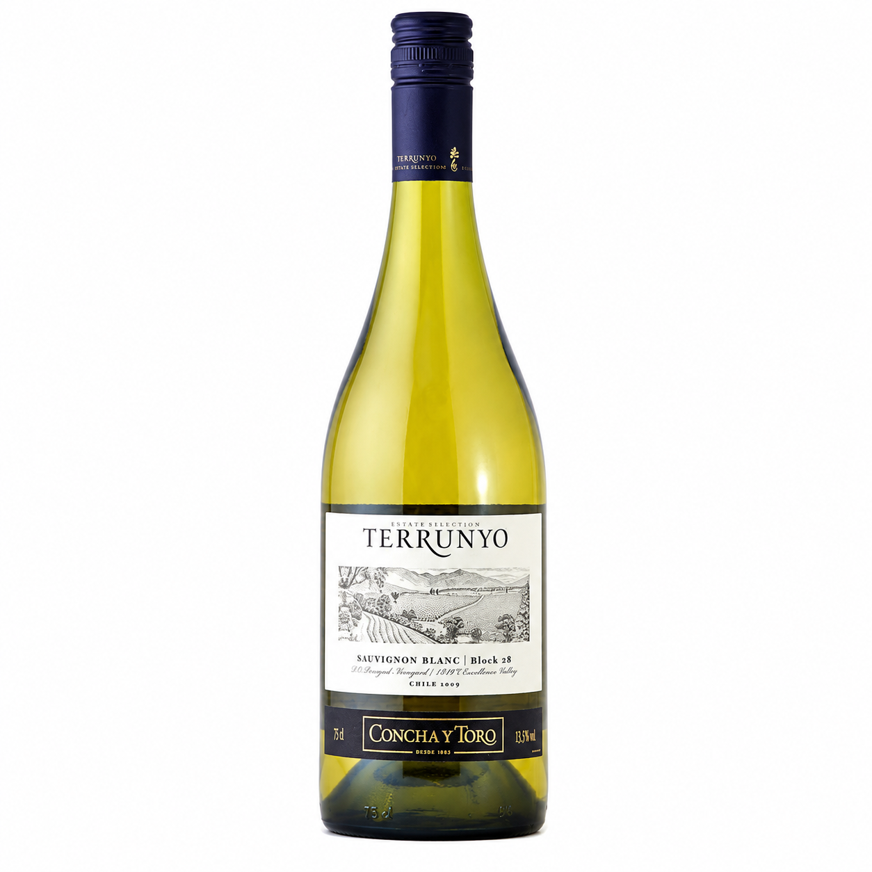 Terrunyo Sauvignon Blanc White Wine 75cl