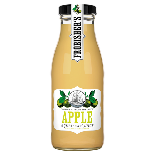 Frobishers Apple Juice 24x250ml