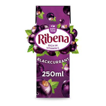 Ribena Blackcurrant 24x 250ml Carton